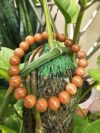 Sunstone Bracelet